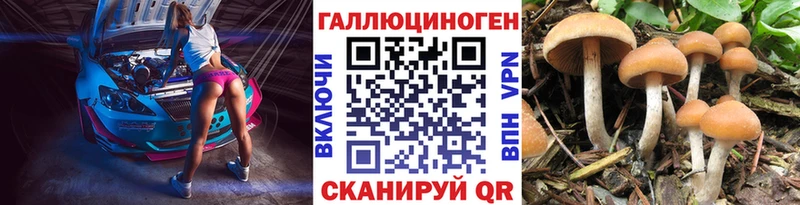 Галлюциногенные грибы GOLDEN TEACHER Муравленко