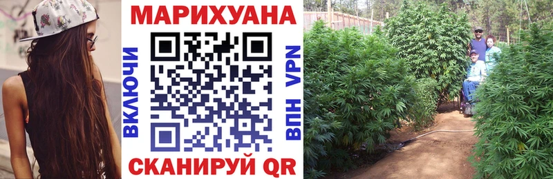 Марихуана планчик  купить   Муравленко 